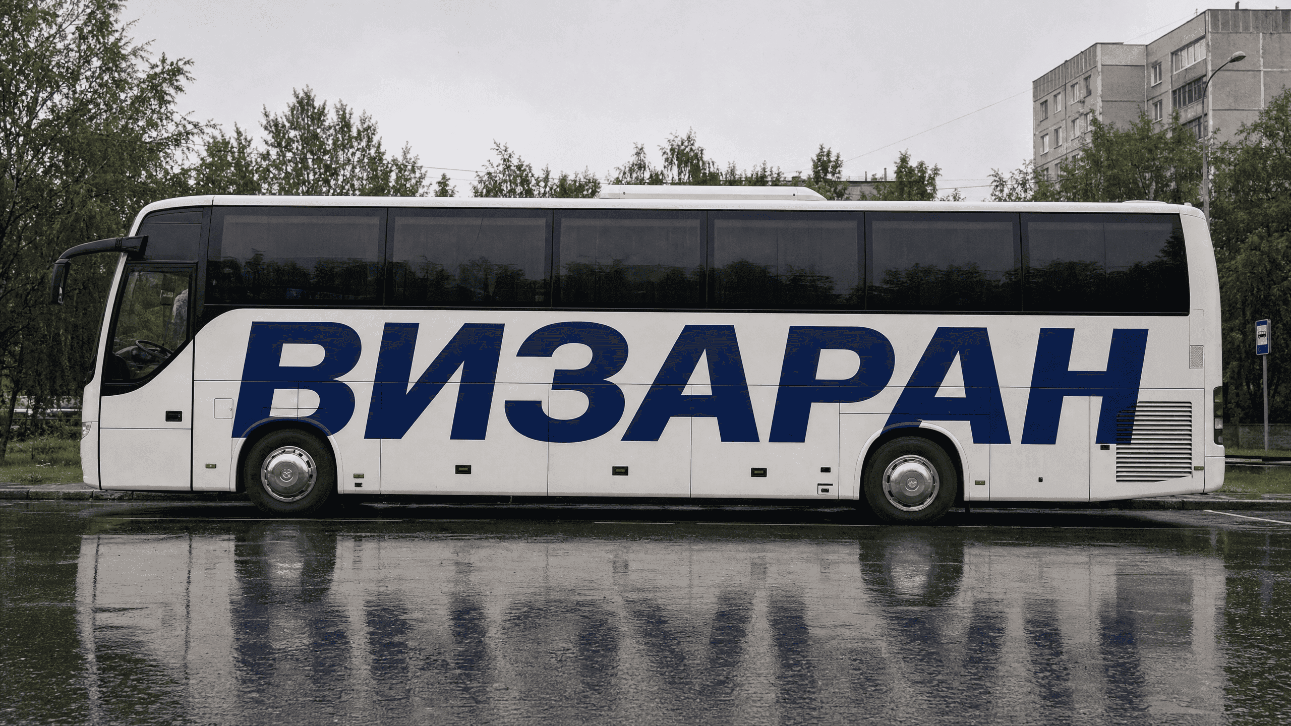 Что такое визаран простыми словами: цена, сроки, отличия